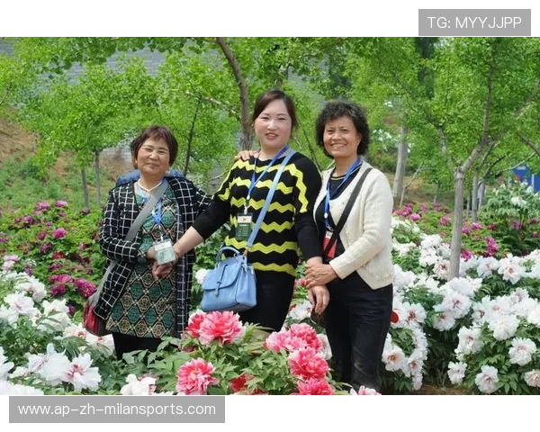 太阳体能管理见成效,助力健康新生活