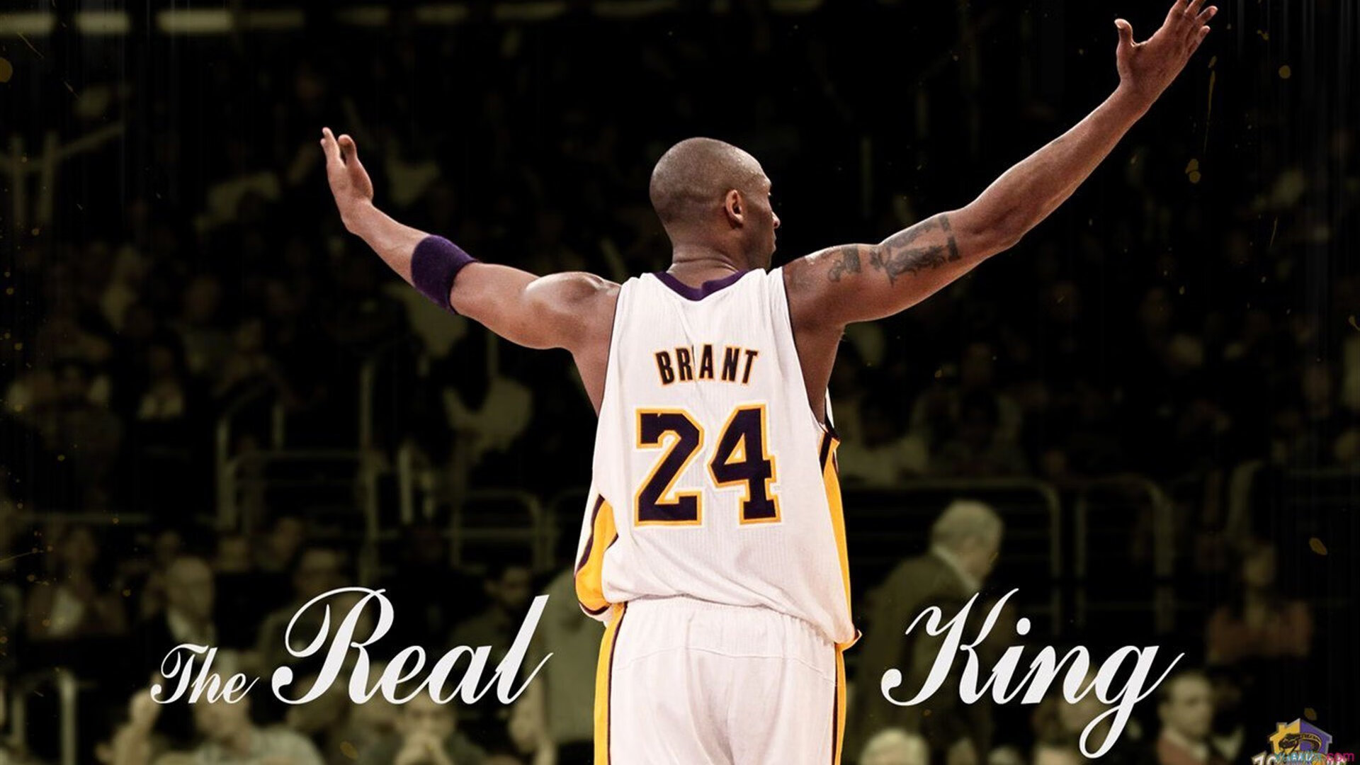 体育产业发展动力