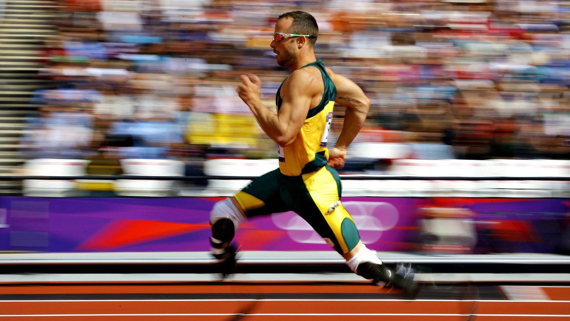 德约科维奇再创纪录